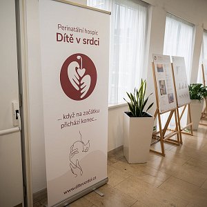 Fotogalerie z konference v Ostravě