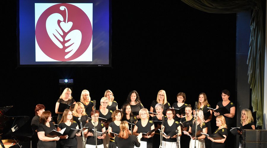 Koncert pro Dítě v srdci v Prostějově